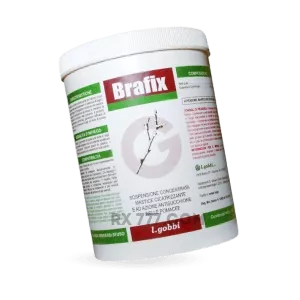 brafix